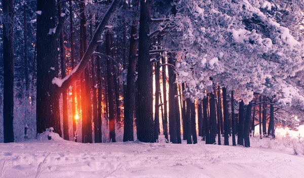 Paesaggio invernale perfetto — Foto Stock