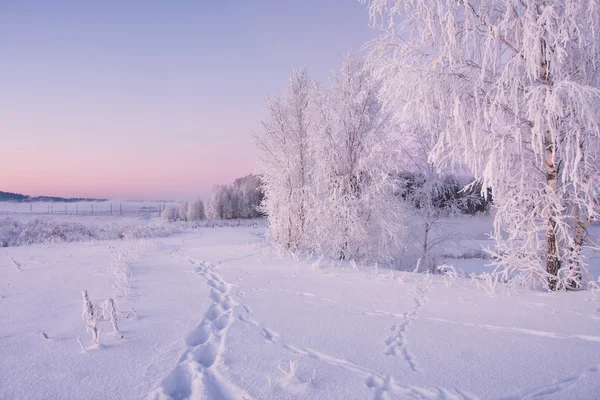 Amanecer brumoso de invierno — Foto de Stock