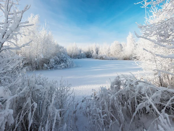 Cristal clara manhã de inverno — Fotografia de Stock