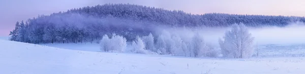Amanecer brumoso de invierno — Foto de Stock