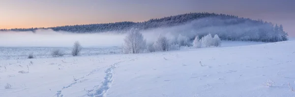 Amanecer brumoso de invierno — Foto de Stock