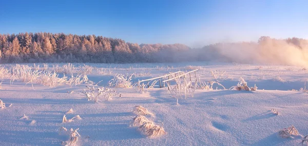 Mistige winter zonsopgang — Stockfoto