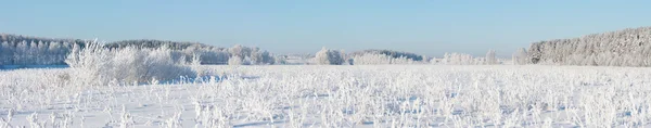 Beyaz kış afiş — Stok fotoğraf