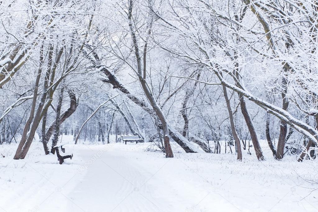 Snowy winter day