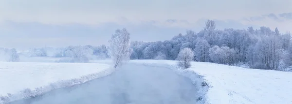 Soğuk kış hava — Stok fotoğraf