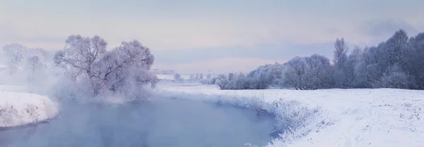 화려한 겨울 아침 — 스톡 사진
