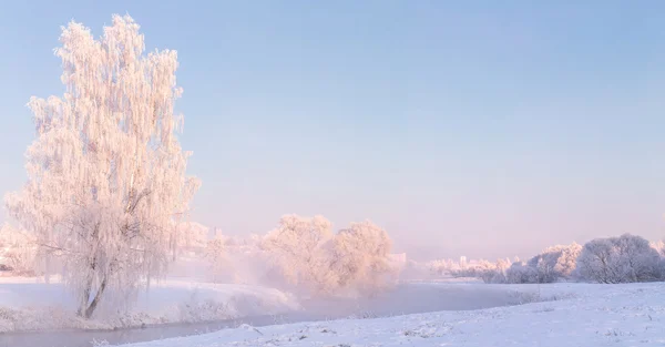 Beyaz kristal ağaç — Stok fotoğraf