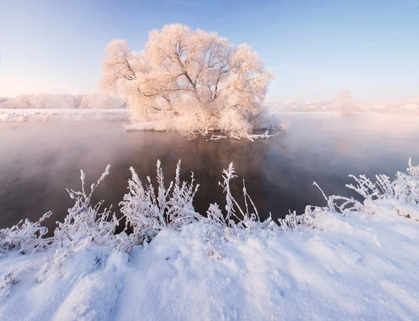 Frostiga vinter sunrise — Stockfoto