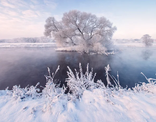 Fairy winterlandschap Stockafbeelding