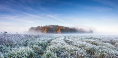 soğuk sonbahar sabahı