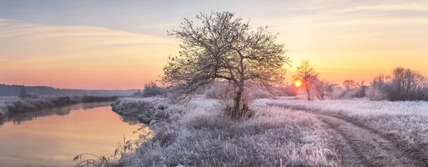 Färgglada vinter sunrise — Stockfoto