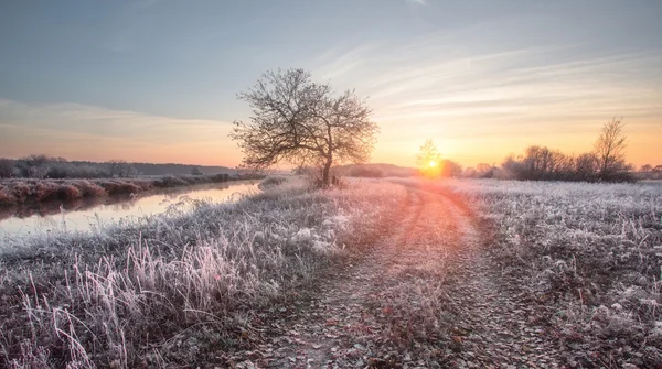 Nascer do sol de inverno colorido — Fotografia de Stock