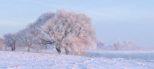 Brouillard hiver lever de soleil — Photo