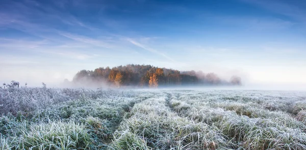 soğuk sonbahar sabahı