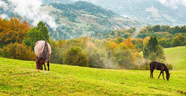 Soirée d'automne chaude en montagne — Photo