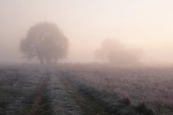 Amanhecer de primavera nebuloso — Fotografia de Stock