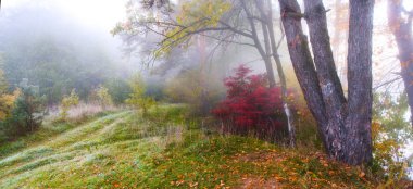 Güzel sonbahar manzarası