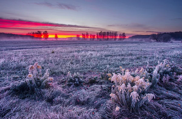 Frosty amanhecer de outono — Fotografia de Stock