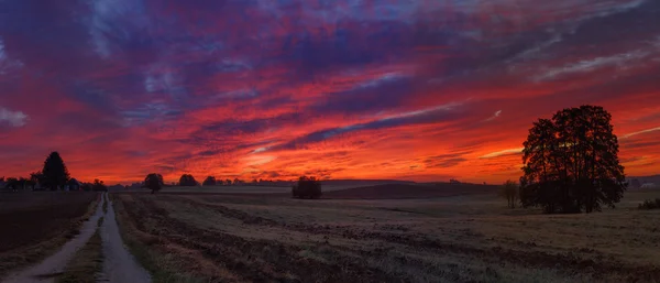 Sonbahar güzel şafak