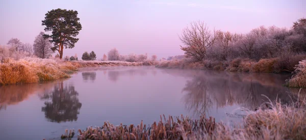 Misty Autumn Sunrise