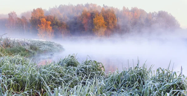 Mattina autunnale appannata — Foto Stock