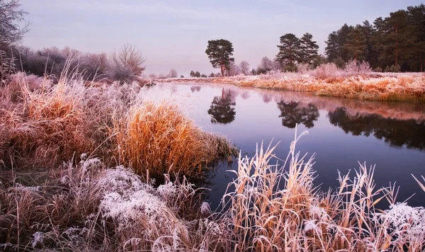 Fairy hösten dawn — Stockfoto