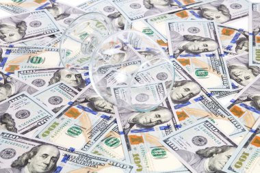 Dolarlarına camına