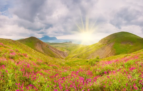 Sonniger Tag am Meer — Stockfoto