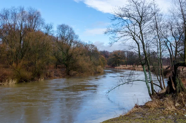 Θέα από το Riverwalk στο Chernyakhovsk της Ρωσίας του ποταμού Angrapa — Φωτογραφία Αρχείου