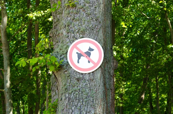 No dog sign on a trees background — 스톡 사진