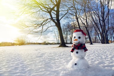 şirin bir kardan adam