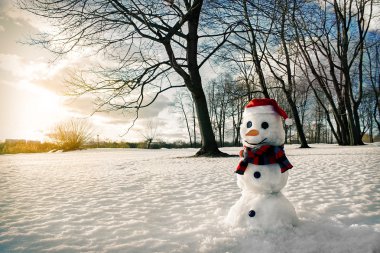 şirin bir kardan adam