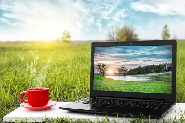 Laptop ve sıcak kahve üzerinde arka plan güzel doğa, açık ofis