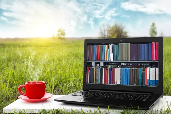 Laptop and cup of hot coffee on the background picturesque nature, outdoor office