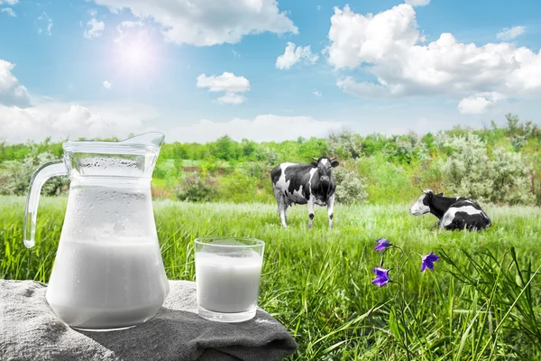 Jarra de vidrio con leche y un vaso en el fondo de la naturaleza —  Fotos de Stock