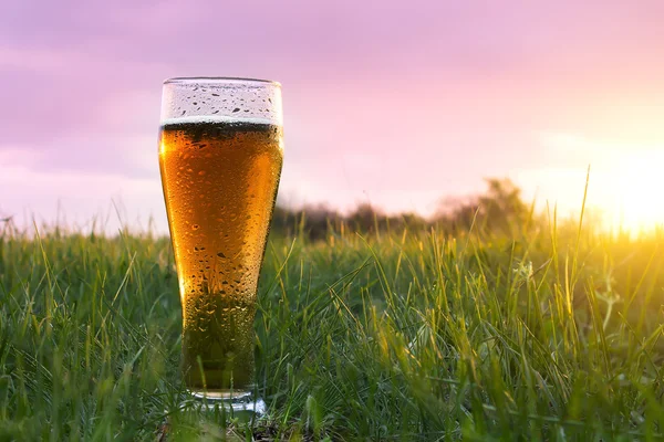 Verre de bière froide au coucher du soleil — Photo