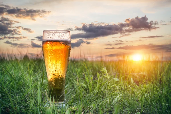 Verre brouillard de bière froide au coucher du soleil — Photo