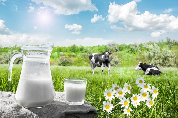 Üveg kancsó, tejjel és egy pohár a természet háttér — Stock Fotó