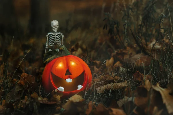 Skelett Und Lächelnder Kürbis Einem Dunklen Wald Halloween Stimmung — Stockfoto