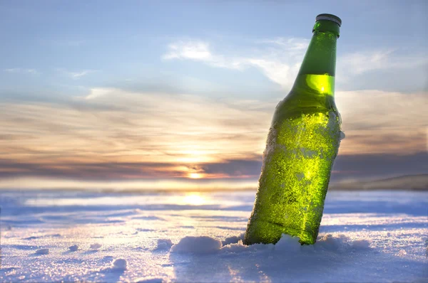 Üveg hideg sört — Stock Fotó