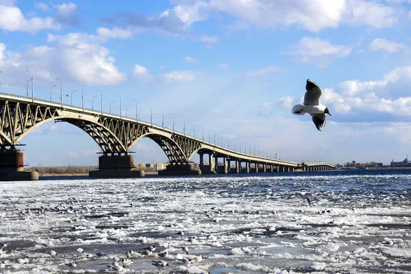 Brug op de rivier — Stockfoto