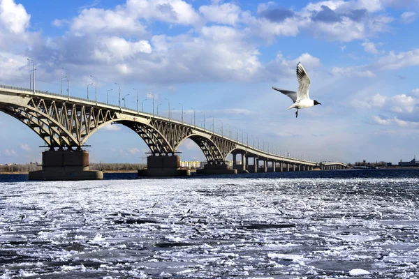 Ponte no rio — Fotografia de Stock
