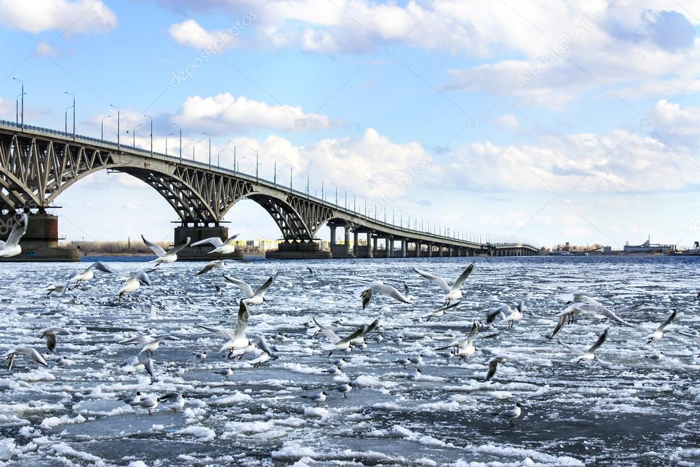 Bridge on the River