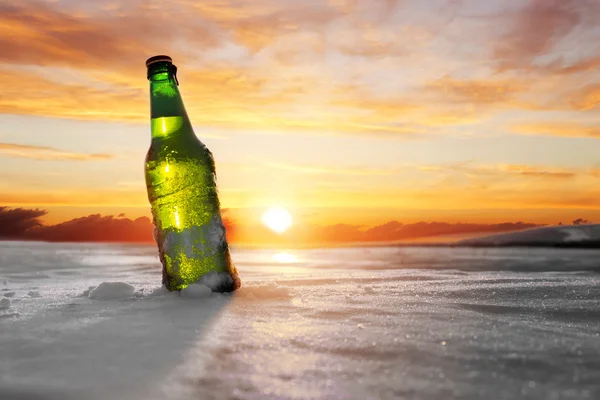 Бутылка холодного пива — стоковое фото