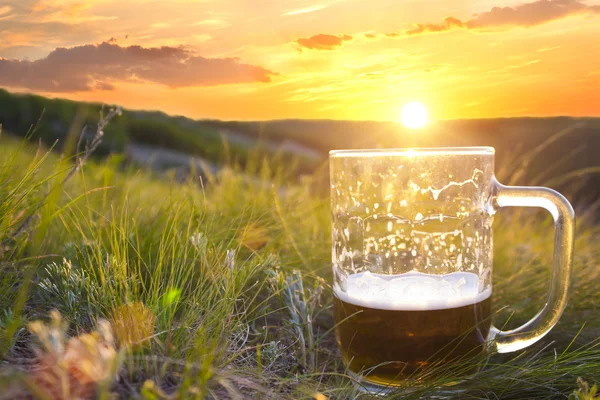 Bière froide au coucher du soleil — Photo