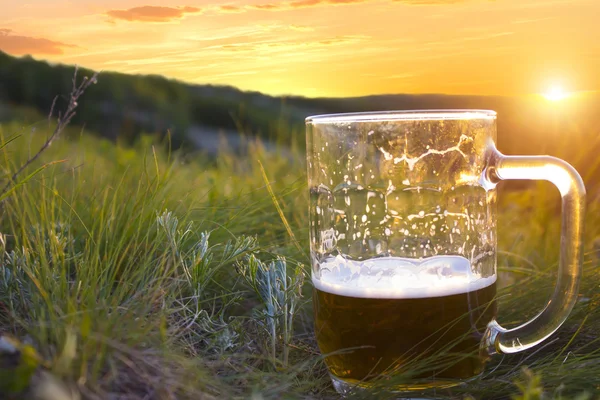 Birra fredda al tramonto — Foto Stock