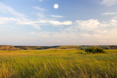 gün batımını yeşil sahada