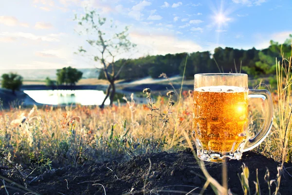Studené pivo na jezeře — Stock fotografie