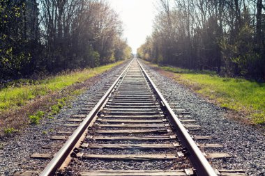 Ormanda demiryolu rayları ve arka planda günbatımı