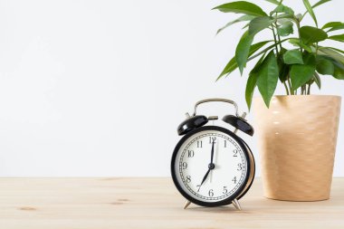 Klasik klasik siyah alarm saati ve beyaz duvar arkaplanı olan ahşap masa üzerine saksı yeşili bitki ve metin için yer kopyalama. Zaman kavramı.
